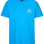 PETROL INDUSTRIES ανδρικό κοντομάνικο t-shirt - M-1050-TSR6215044 Ρουά