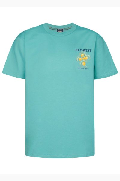 PETROL INDUSTRIES ανδρικό κοντομάνικο t-shirt - M-1050-TSR6496-6169 Πράσινο - Image 6